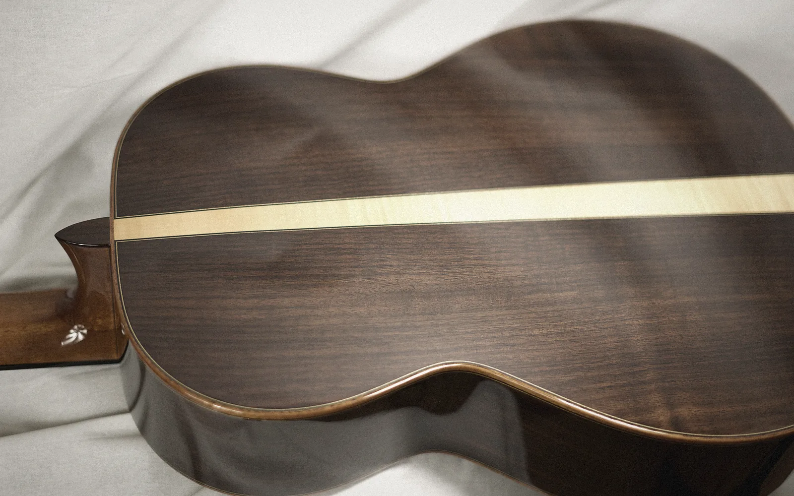 Rosewood, ziricote, Java ebony: the woods of back and sides