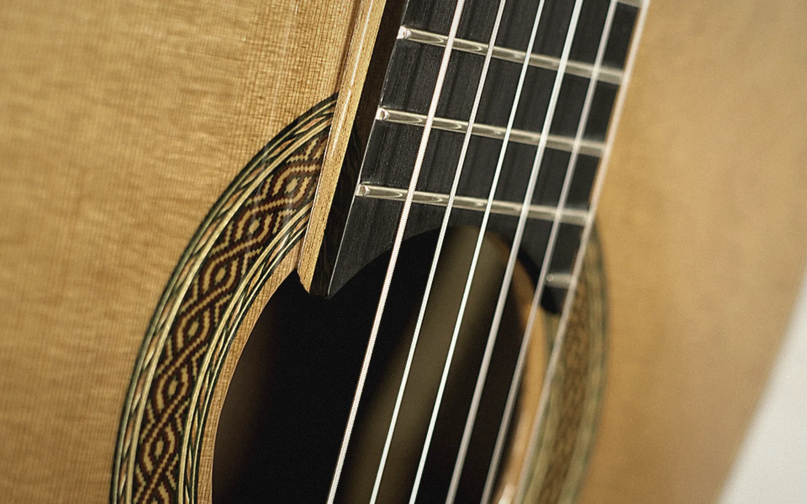 Cedar or spruce: what the soundboard decides