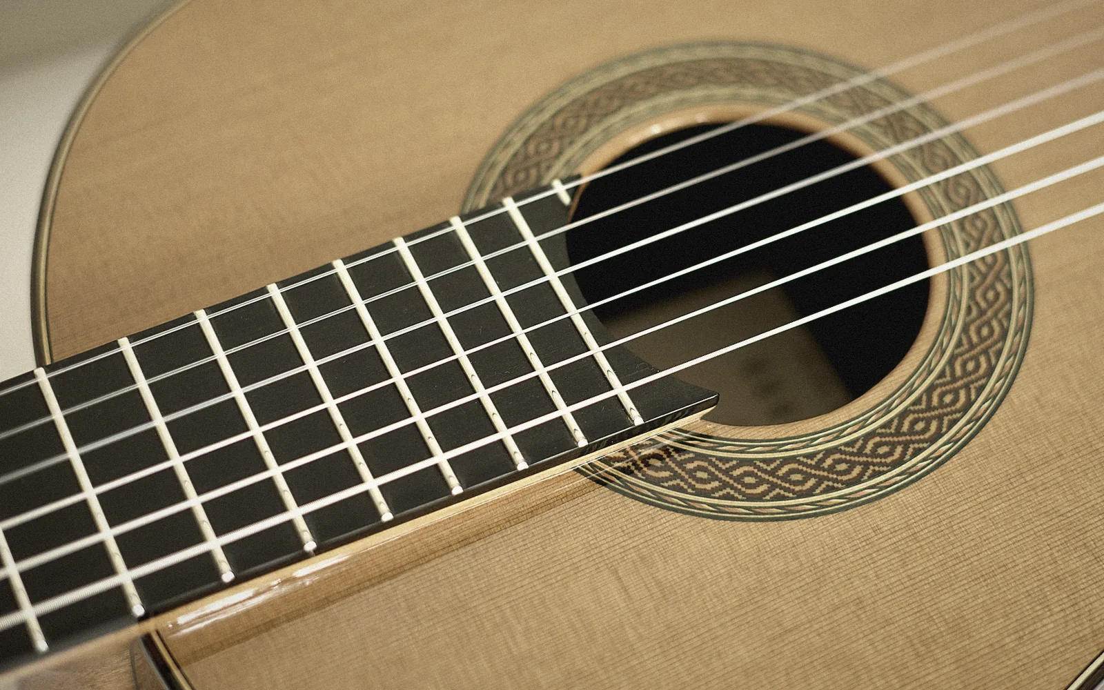 Ebony fingerboard and frets running towards the rosette of an Arrius classical guitar